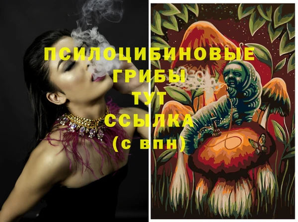 первитин Богородицк