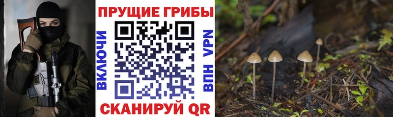 KRAKEN сайт  Октябрьский  Галлюциногенные грибы мицелий 